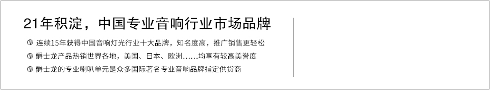 21年积淀，中国专业音响行业市场品牌